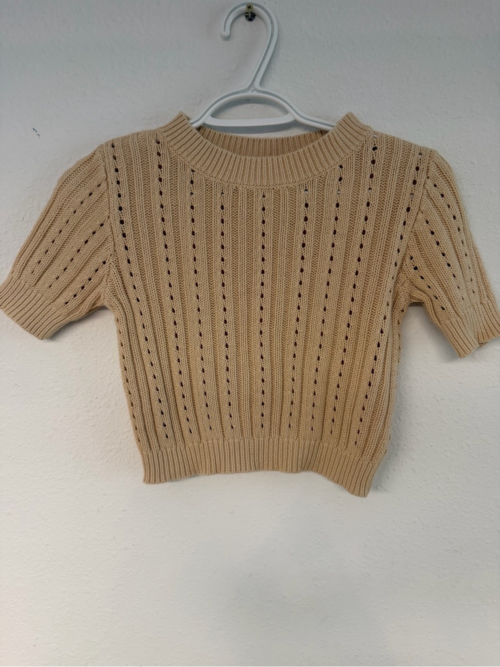 Vici Cropped Open-Knit Crewneck crop top Sweater in Cream